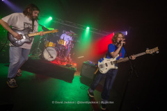 The Bug Club on stage at The Black Prince in Northampton on Monday, January 27, 2025. Photo by David Jackson