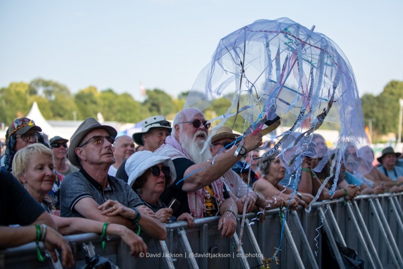 Fans at Cropredy Convention