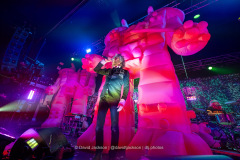 The Flaming Lips on stage at the O2 Academy in Birmingham on Friday, April 25. Photo by David Jackson.
