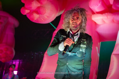 The Flaming Lips on stage at the O2 Academy in Birmingham on Friday, April 25. Photo by David Jackson.