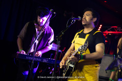 Daffodils on stage at The Black Prince in Northampton on Thursday, August 28, 2025. Photo by David Jackson.
