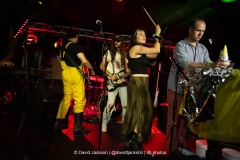 Daffodils on stage at The Black Prince in Northampton on Thursday, August 28, 2025. Photo by David Jackson.