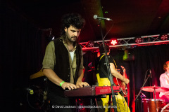 Daffodils on stage at The Black Prince in Northampton on Thursday, August 28, 2025. Photo by David Jackson.