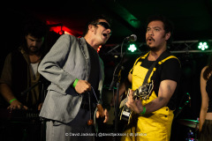 Daffodils on stage at The Black Prince in Northampton on Thursday, August 28, 2025. Photo by David Jackson.