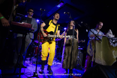 Daffodils on stage at The Black Prince in Northampton on Thursday, August 28, 2025. Photo by David Jackson.