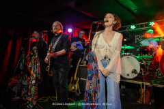 Return Of The Mac on stage at The Black Prince in Northampton on Sunday, December 28, 2025. Photo by David Jackson. Return Of The Mac on stage at The Black Prince in Northampton on Sunday, December 28, 2025. Photo by David Jackson.