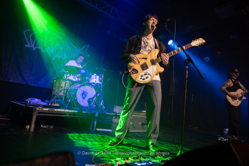 Sarpa Salpa playing their final headline gig at the Roadmedner in Northampton on Friday, October 14. Photo by David Jackson
