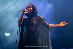 Mega on stage at the O2 Institute in Birmingham on Thursday, March 1. Photo by David Jackson.