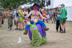 Festival goers at Shambala