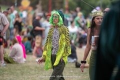 Festival goers at Shambala