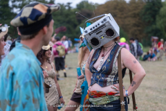 Pun Intended Carnival