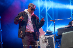 Digable Planets