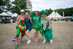 Festival goers at Shambala