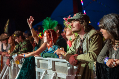 Festival goers watching acts perform