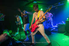 The Wax Lyrical Sound peforming on the fourth day of Twinfest at at The Black Prince in Northampton on Sunday, July 30 The Wax Lyrical Sound peforming on the fourth day of Twinfest at at The Black Prince in Northampton on Sunday, July 30