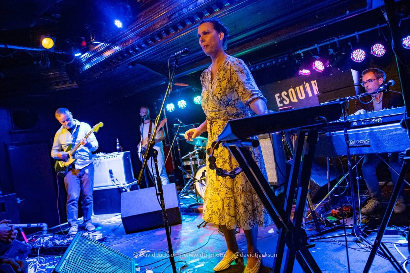 Stereolab